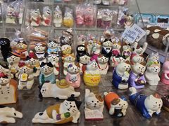 -猫咪博物馆(顶澳仔猫街店)