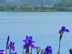 -东钱湖旅游度假区