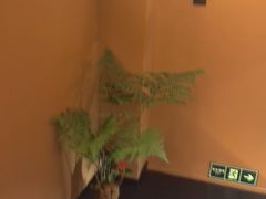 -泰·菩提树下[泰式按摩x精油SPAx肩颈头疗](新景店)