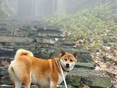 -终南山南五台景区