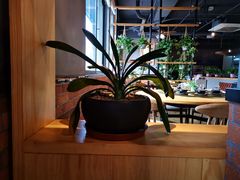 -花马天堂云南餐厅 Lost Heaven(外滩店)