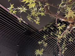 -绿茶餐厅(壹方天地店)