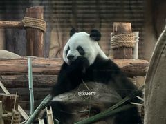 -泉州海丝野生动物世界