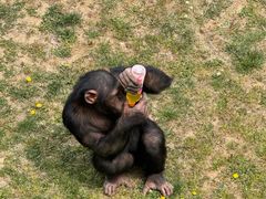 -西霞口神雕山野生动物世界