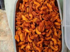 -柳沟豆腐宴69号福豆堂
