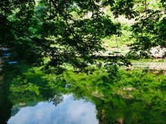 -湖洞水自然风景区