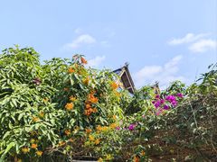 -西双版纳傣族园