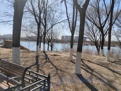 -大兴滨河森林公园