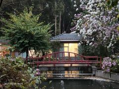-中国科学院华南植物园