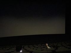 -上海颛桥万达广场