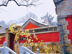 -潭柘寺景区