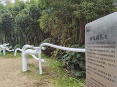 -苏州河梦清园环保主题公园