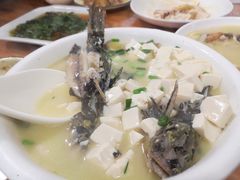 昂刺鱼豆腐汤-阿东农家菜(新场古镇下塘街店)