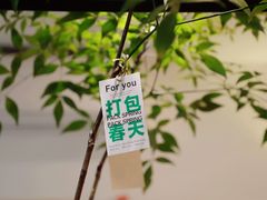 -Joymean coffee.见面咖啡