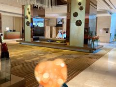 -上海浦东假日酒店