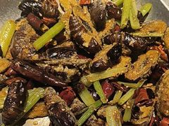 -鼎原力量东北吊炉烧烤(临河街店)