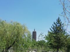 -西海子公园