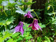 -白草畔自然风景区