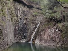 -花岩国家森林公园