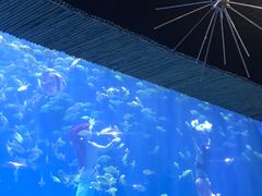 -西安华夏文旅水世界