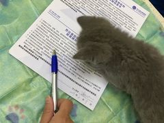 -芭比堂动物医院广州顽皮分院