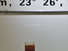 -2326 Coffee Roaster咖啡豆可选店(林肯公园店)