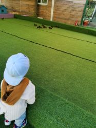 点击看大图 -萌宠亲子动物乐园(槐房万达店)