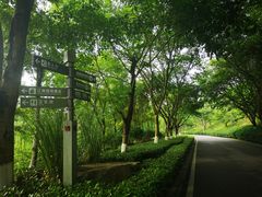 -重庆园博园