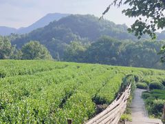 -西湖风景区十里琅珰-五云山