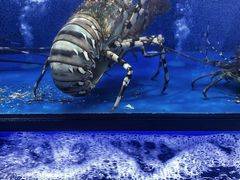 -盒马鲜生(曜一城店)