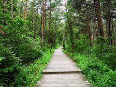 -帽儿山国家森林公园