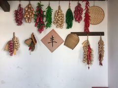 -同里国家湿地公园
