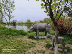 -泗洪洪泽湖湿地景区