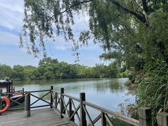 -西溪国家湿地公园