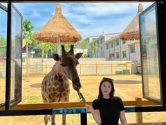 -西霞口神雕山野生动物世界