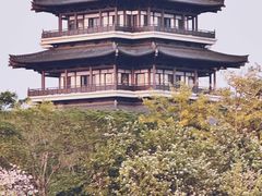 -海珠湖公园