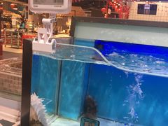 -盒马X会员店(王府井奥莱UP TOWN店)