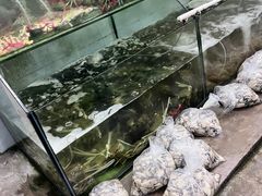 -蚝乡农庄(铁涌赤岸店)