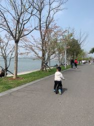 -玄武湖景区-情侣园游乐场