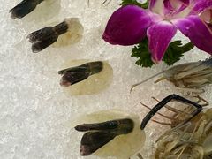 -吉源大排档·鱼生·海鲜(烧烤彩印厂店)