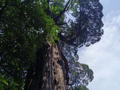 -青岛崂山太清宫