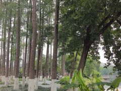 -武汉动物园