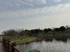 -上海海湾国家森林公园