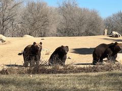 -北京野生动物园