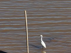 -南沙十九涌渔人码头-南门