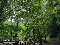 -本溪汤沟绿石谷森林公园