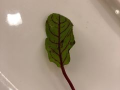 -东兴楼(通州店)