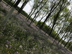 -东郊湿地公园