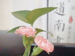 -道南書院·私房菜·早午茶·茶馆