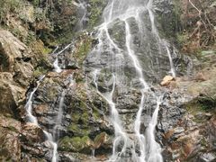 -江西阳明山国家森林公园